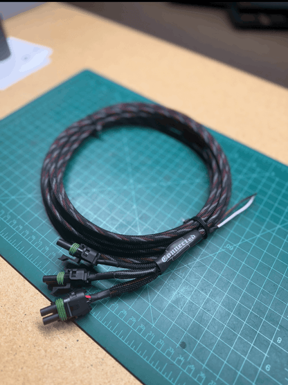 3rd Brake Light / Chase Harness